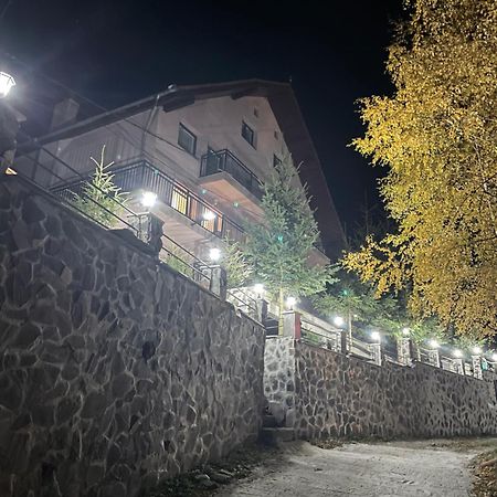 Pensiunea Joe Păltiniş Extérieur photo