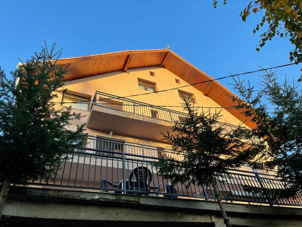 Pensiunea Joe Păltiniş Extérieur photo