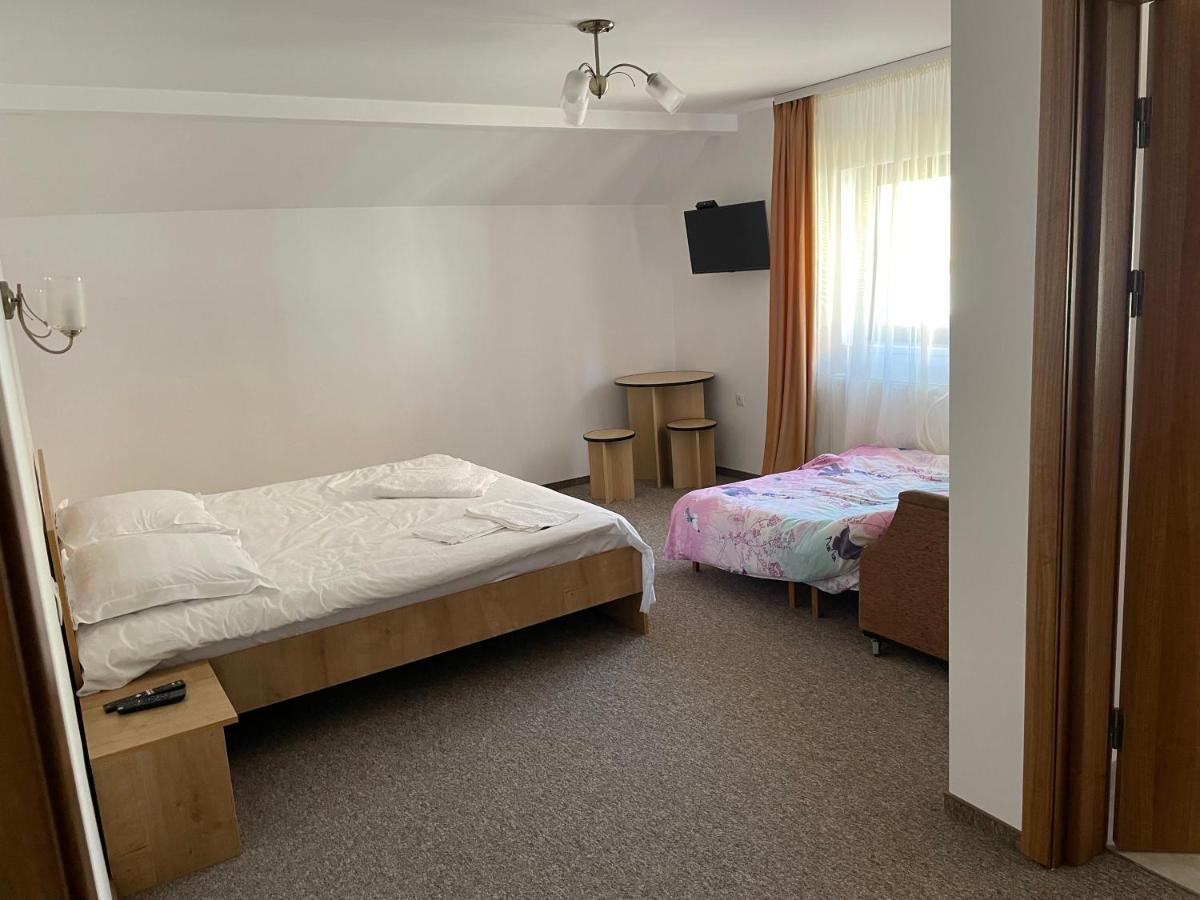 Pensiunea Joe Păltiniş Extérieur photo