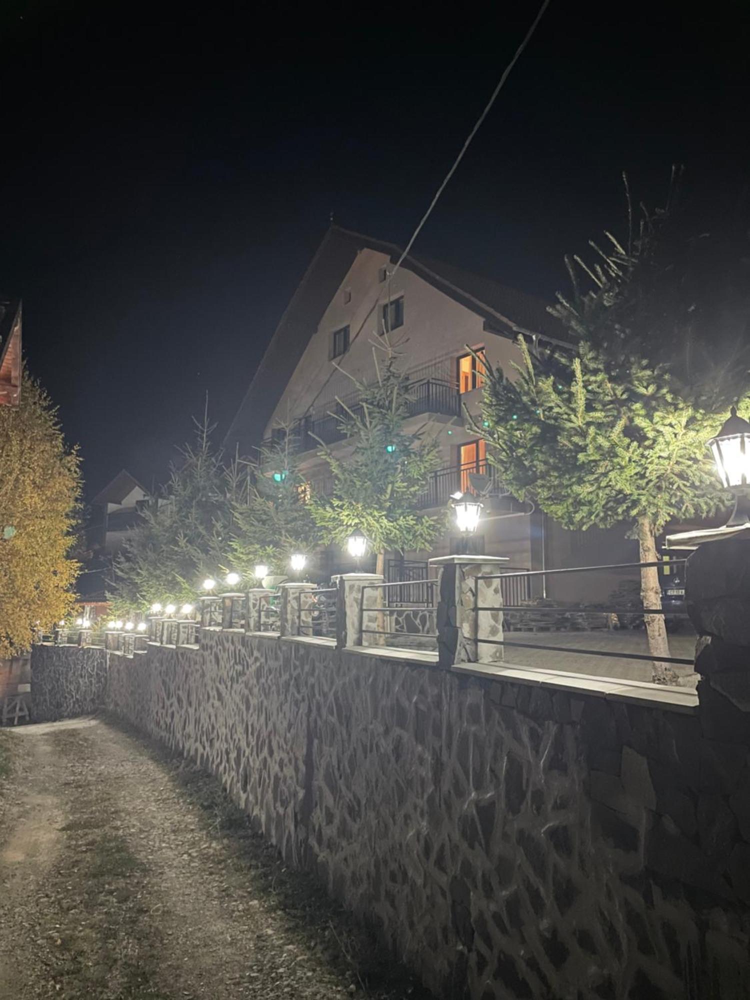Pensiunea Joe Păltiniş Extérieur photo