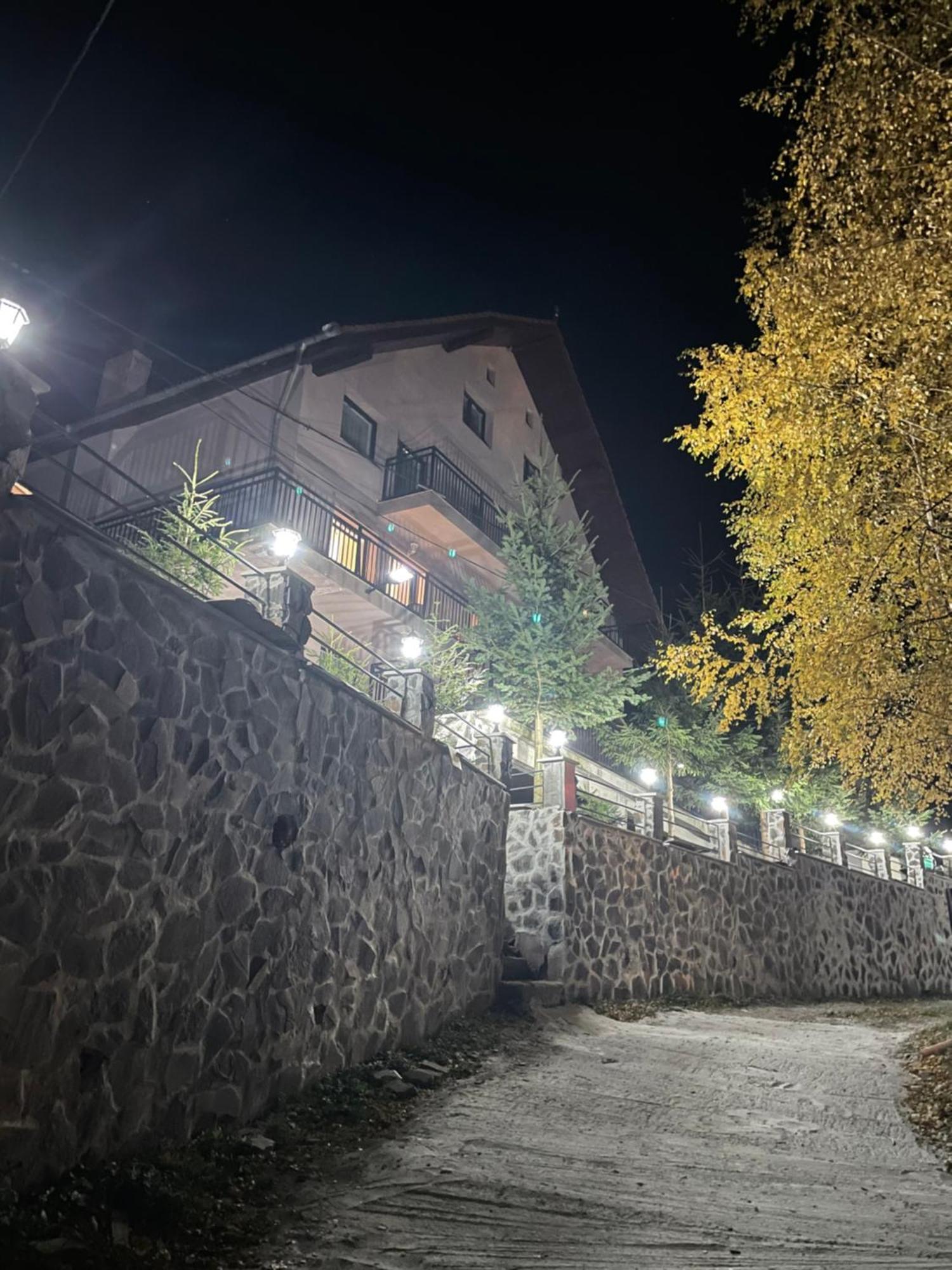 Pensiunea Joe Păltiniş Extérieur photo